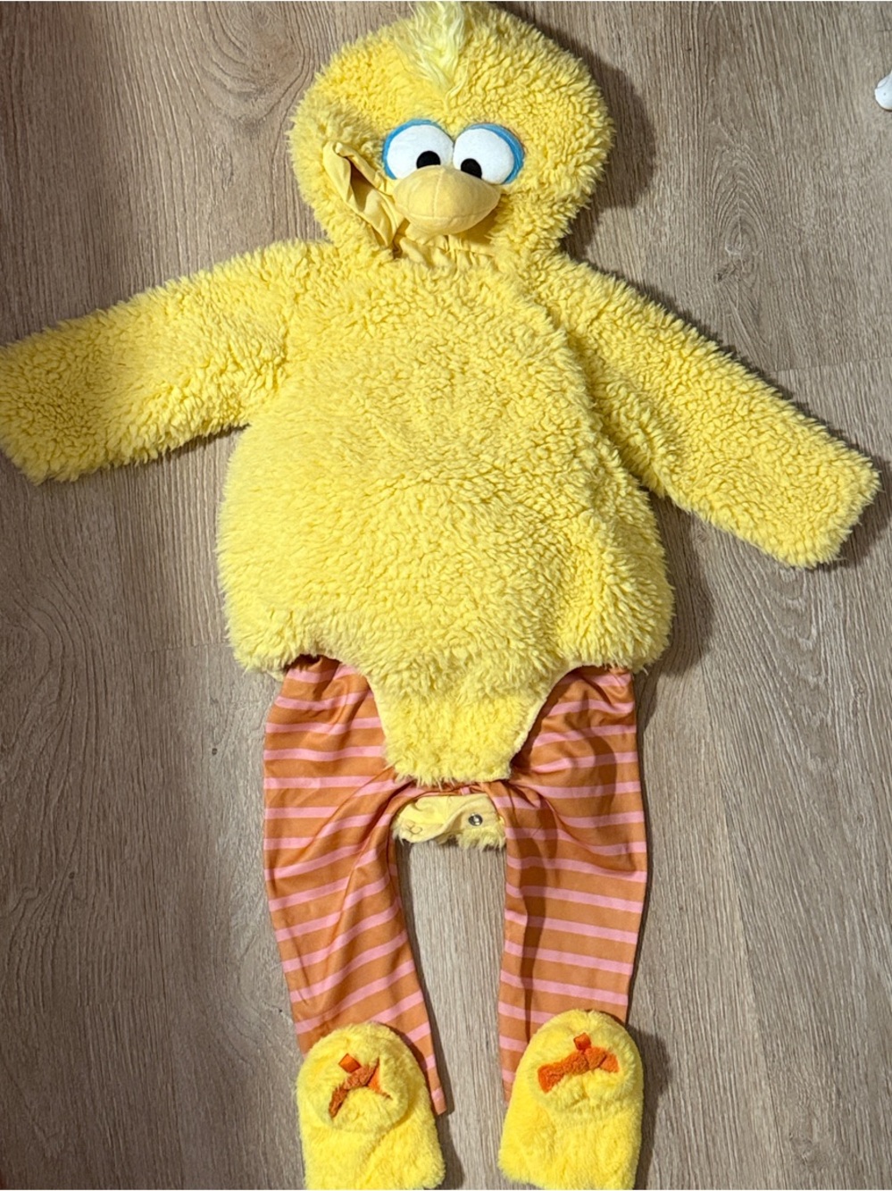 Pottery Barn Big Bird Costume with Shoes- Cozy Costume